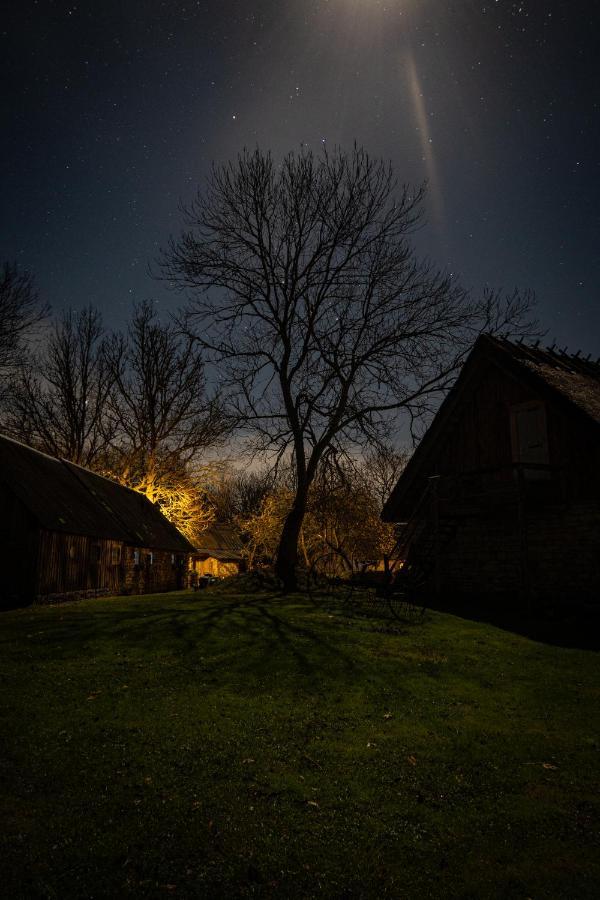 Metsara B & B Tornimäe Kültér fotó