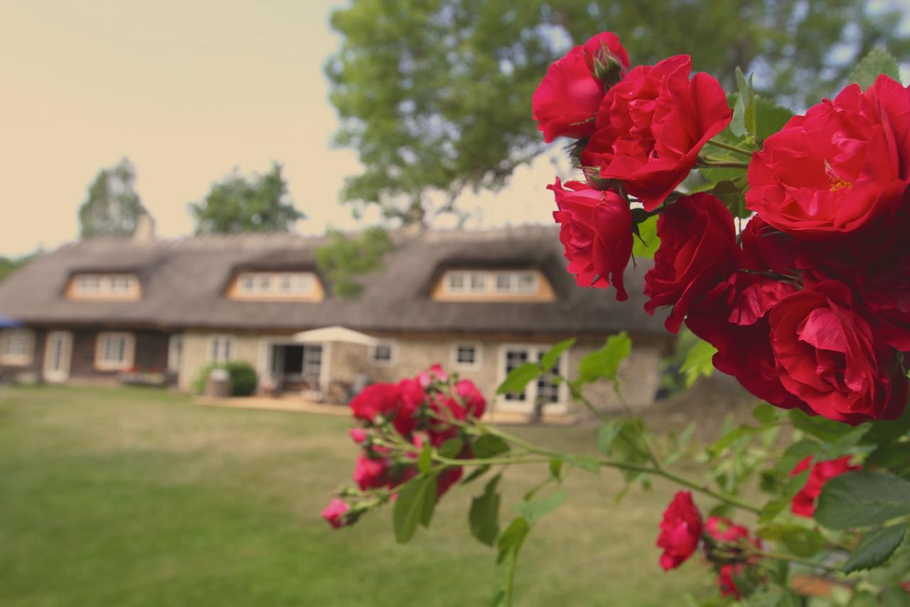 Metsara B & B Tornimäe Kültér fotó
