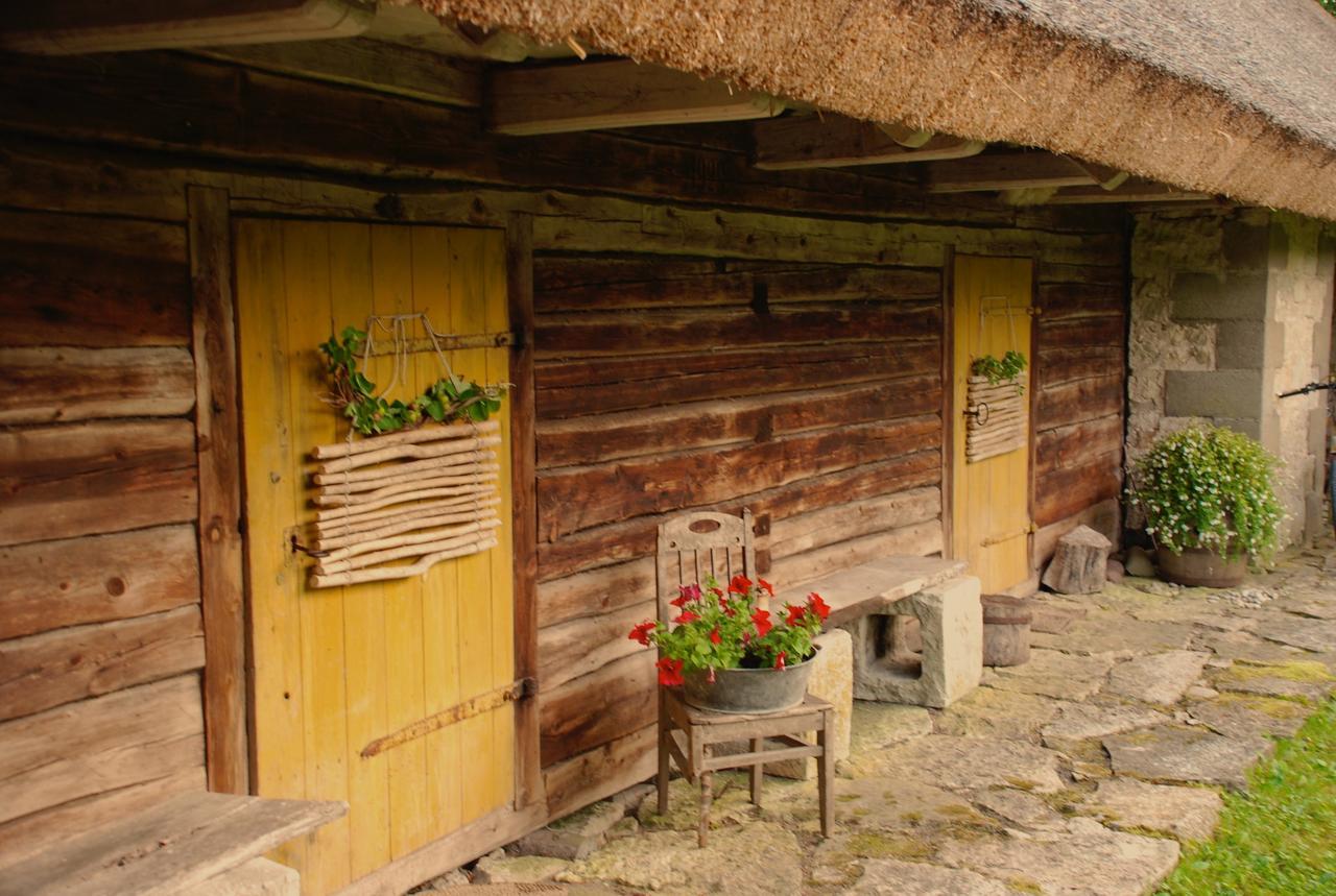 Metsara B & B Tornimäe Kültér fotó